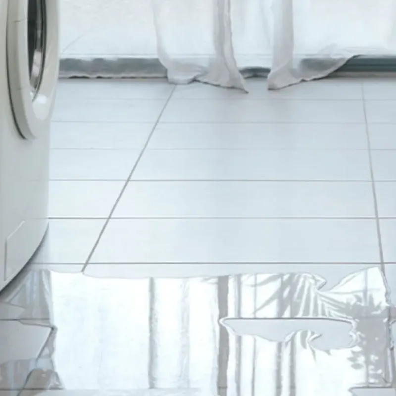 Appliance Leak Cleanup in Washington County, TX