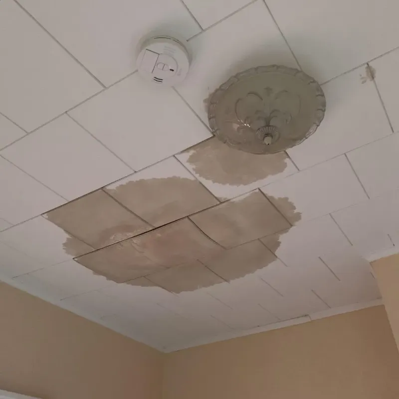 Ceiling Water Damage Repair in Washington County, TX