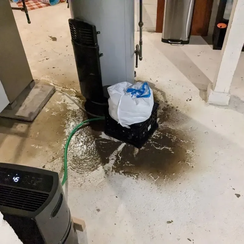 Sewage Backup Cleanup Service in Washington County, TX